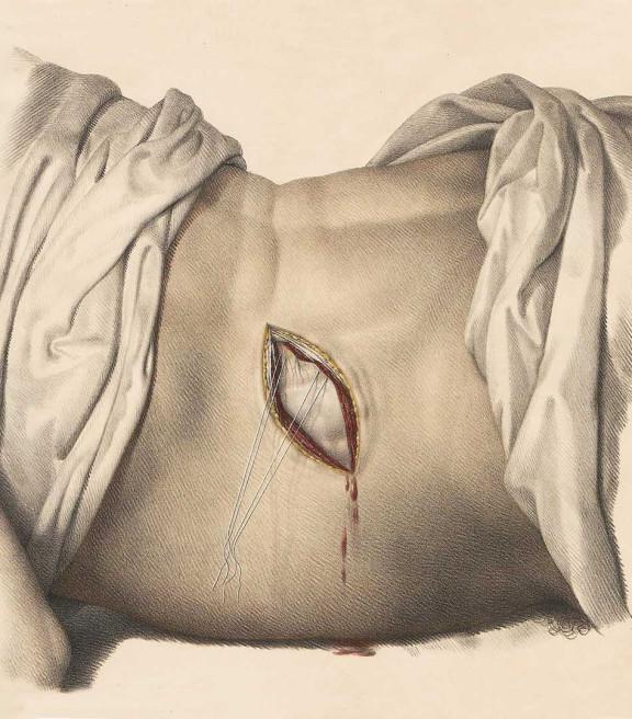 NÔT de Marlene Monteiro Freitas, 2025 